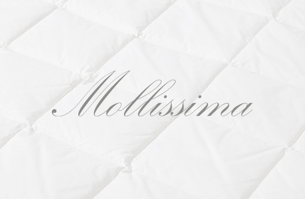 Logo Mollissima