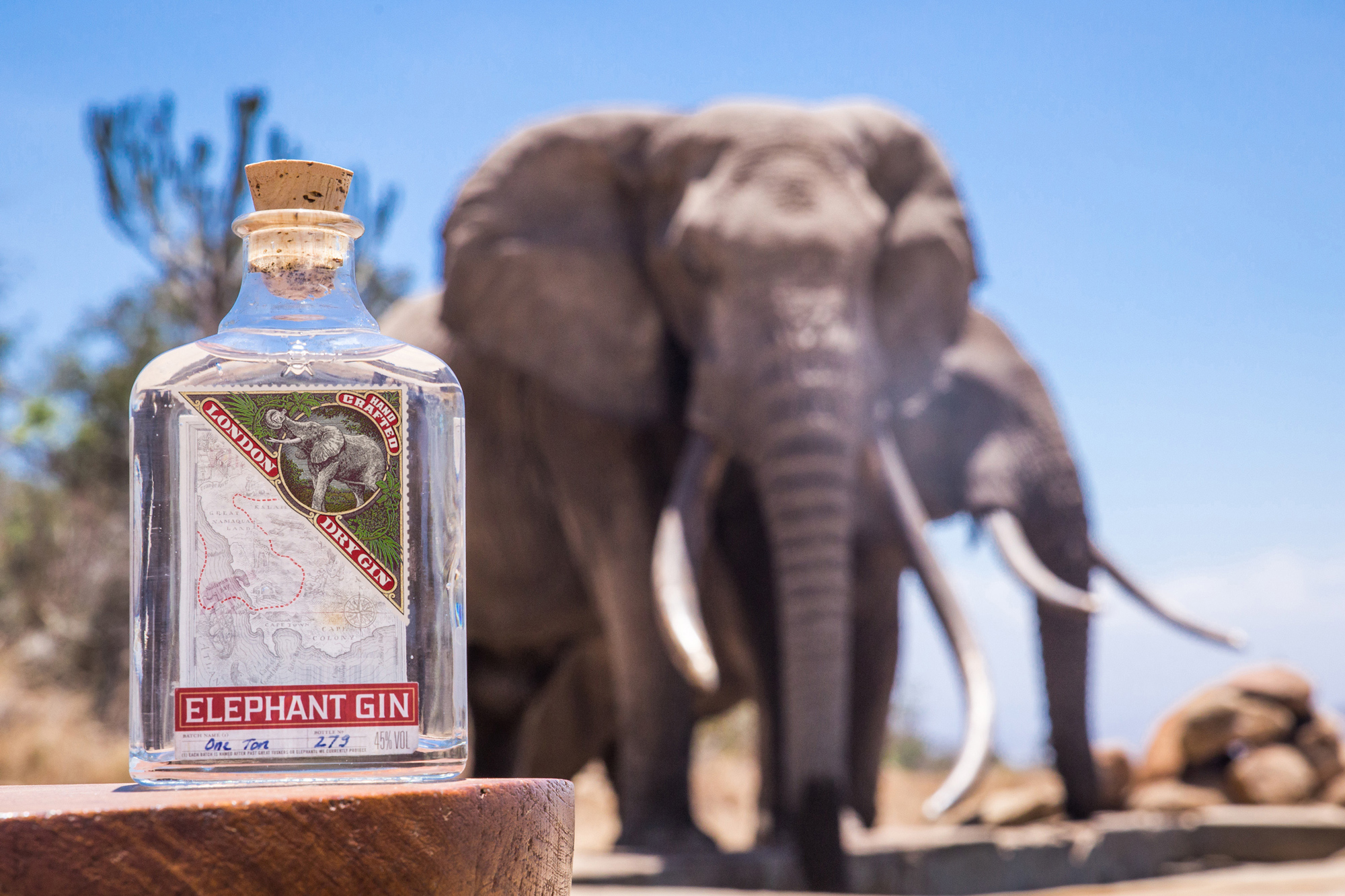 Otto_Keller_Tessa_Gerlach_Elephant_Gin_02
